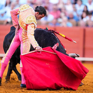 torero David de Miranda