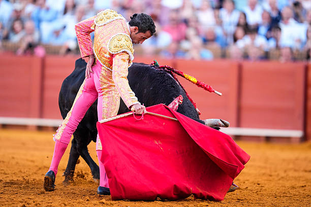 torero David de Miranda