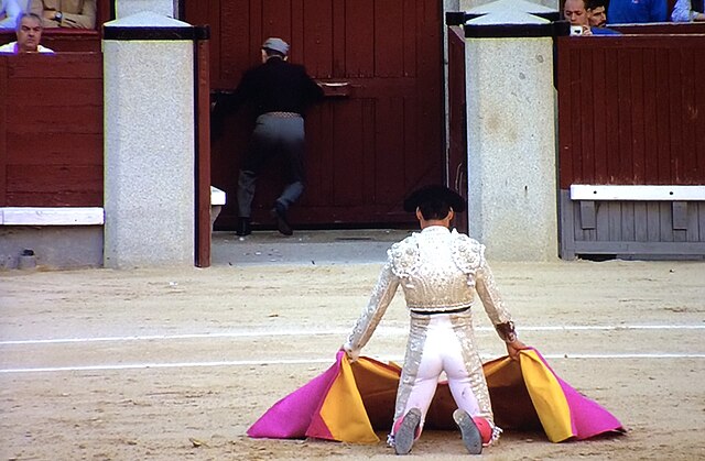 Torero Gómez del Pilar