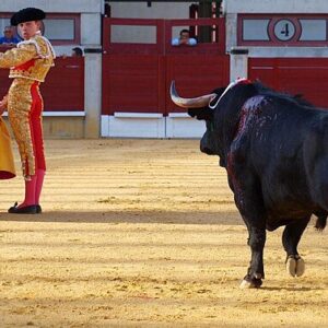 Torero Javier Cortés