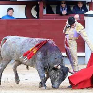 Torero Jiménez Fortes