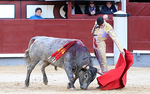 Torero Jiménez Fortes