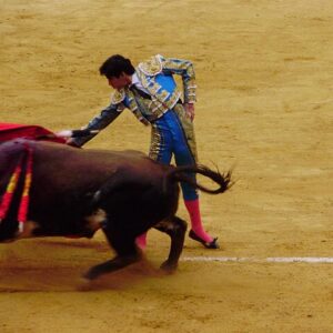 Torero Miguel Angel Perera