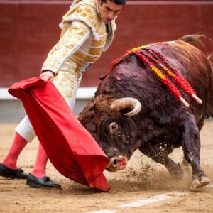 torero El Calita