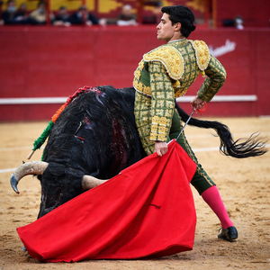 torero Manuel Diosleguarde