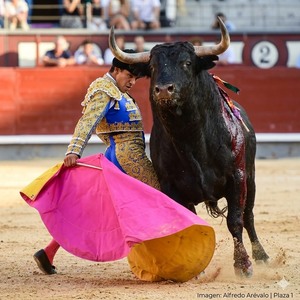 torero Pedro Luis