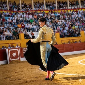torero Sergio Dominguez El Mella